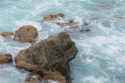 High angle view of rocks on beach