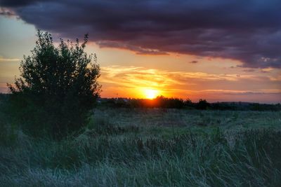 Scenic view of field against sky during sunset