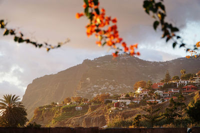 Scenic view of townscape by mountains against sky