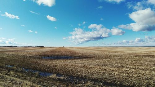 Scenic view of field against cloudy sky