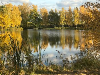 Scenic view of lake by trees against sky