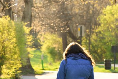 Rear view of woman against trees at park