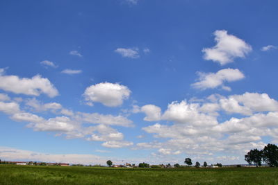 Scenic view of field against blue sky