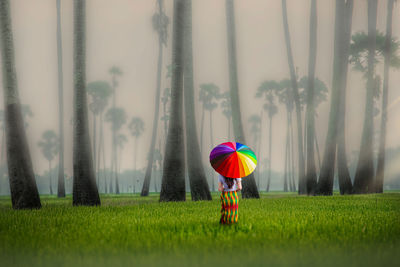 Asian women standing in the middle of misty fields and palm trees in pathum thani, thailand