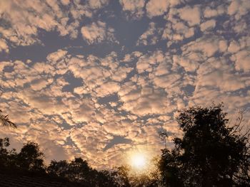 Low angle view of silhouette trees against sky during sunset