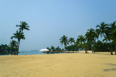 Sentosa island famous sights of singapore. there are amusement parks, casinos and beaches.