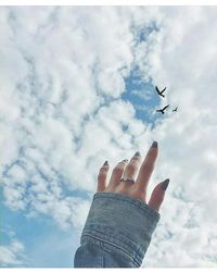 Low angle view of a bird flying against sky