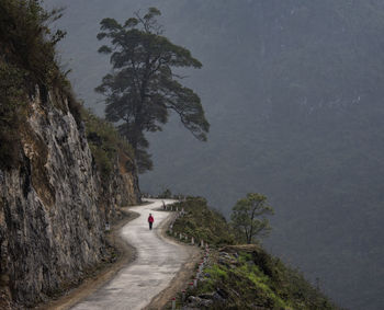 High angle view of road amidst trees against mountains