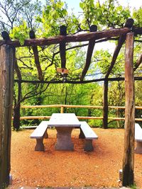 Wooden table against trees in forest
