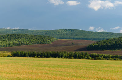 Scenic view of agricultural field and forest against sky