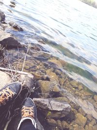 Low section of person on rock by lake