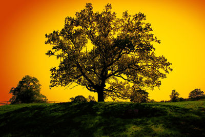 Silhouette tree on field against sky during sunset