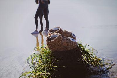 Low section of person on beach