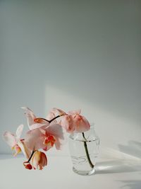 Close-up of pink flower on table