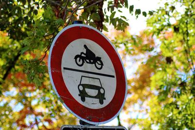 Close-up of road sign against trees