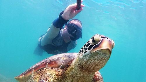 Low angle view of man scuba diving by turtle in sea