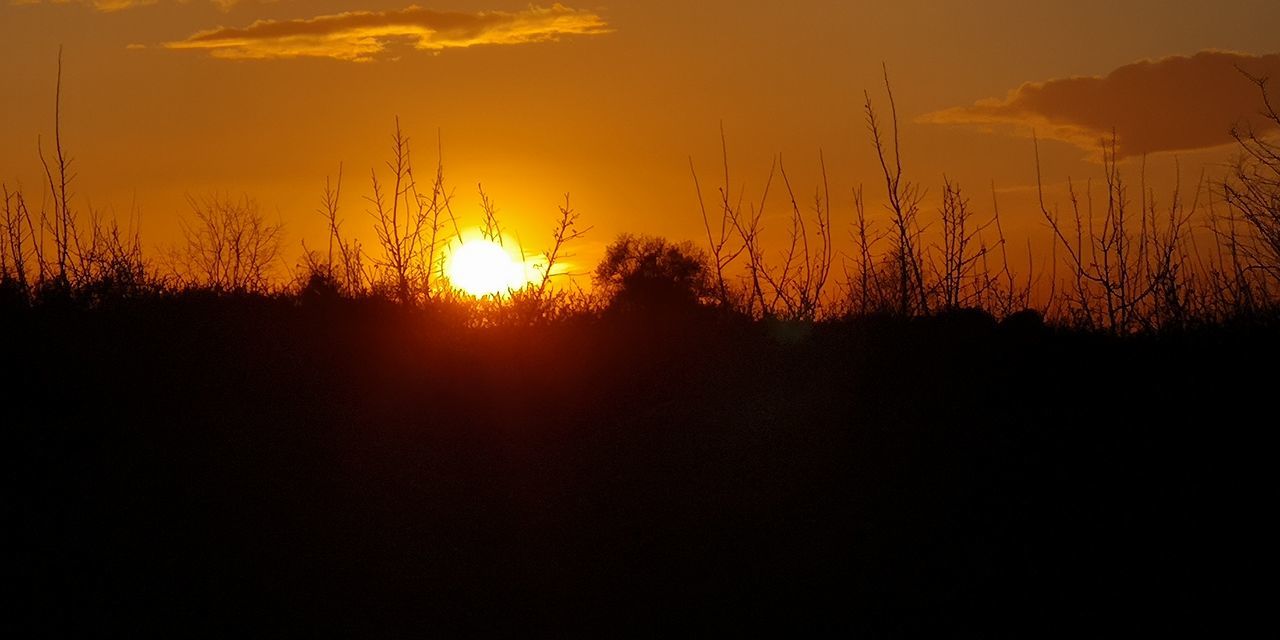 sunset, sky, silhouette, beauty in nature, scenics - nature, tranquil scene, tranquility, orange color, sun, plant, no people, nature, landscape, idyllic, environment, non-urban scene, sunlight, land, outdoors, field, dark