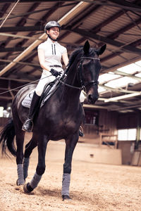 Young woman riding horse in stable