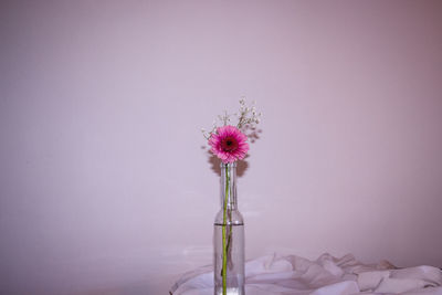 Close-up of pink flower vase against white background