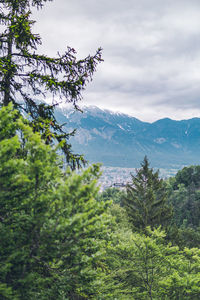 Scenic view of tree mountains against sky