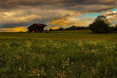 Scenic view of field against sky during sunset