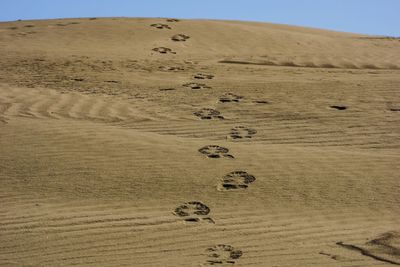 Footprints on sand in desert against sky