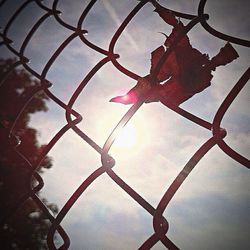 Close-up of chainlink fence