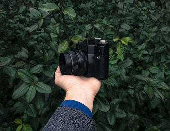 Cropped hand holding camera against plants