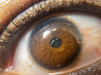 Close-up of human eye