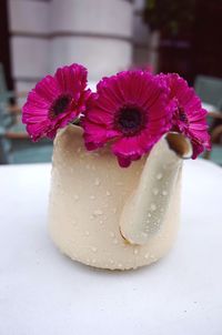 Close-up of pink flowers on table