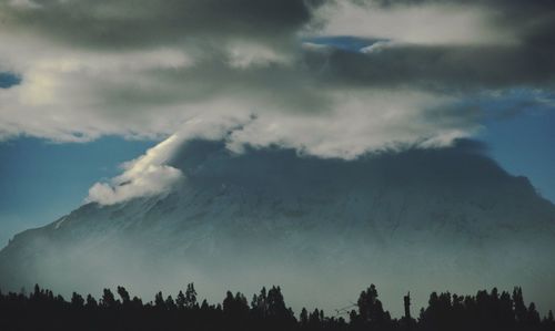 Low angle view of trees against cloudy sky