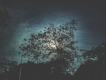 Low angle view of silhouette tree against sky at night