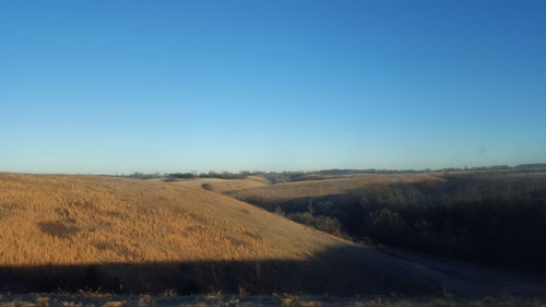 Scenic view of field against clear sky