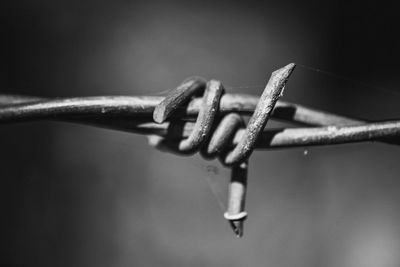 Close-up of rusty metal fence against blurred background