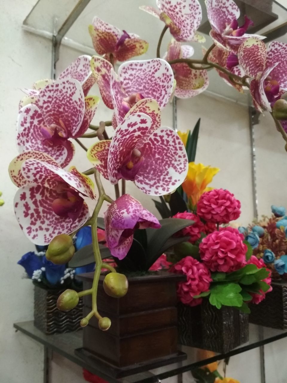 CLOSE-UP OF PINK ORCHID FLOWERS IN VASE