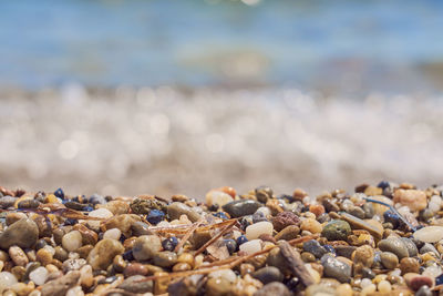Close-up of stones on beach