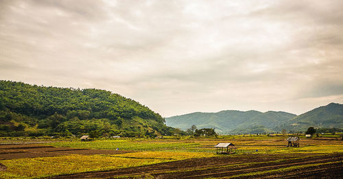 Scenic view of field against cloudy sky