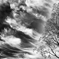 Low angle view of trees against cloudy sky