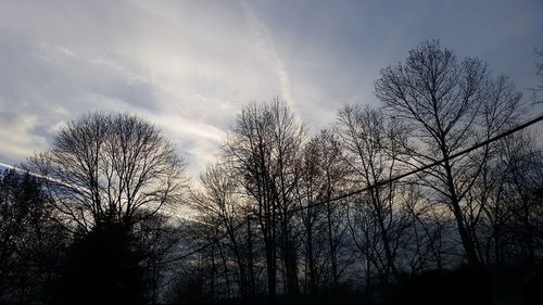 Low angle view of bare trees against sky