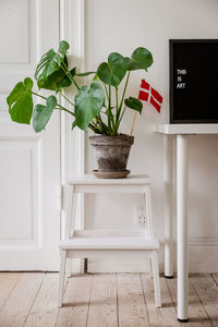 Potted plant on stool against wall at home