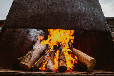 Close-up of fire on log