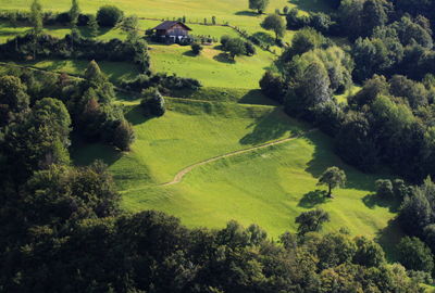 Scenic view of rural landscape