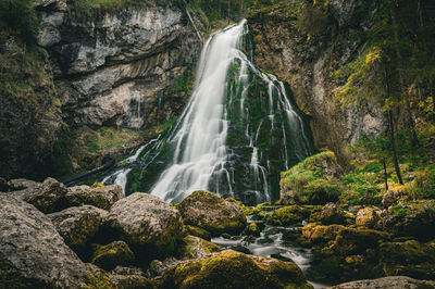 Low angle view of waterfall in forest