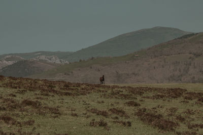 Rear view of person walking on field against sky