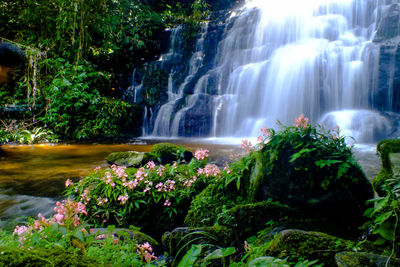 Scenic view of waterfall