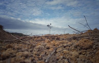 Surface level of land against sky