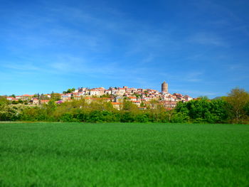 Houses on field against blue sky