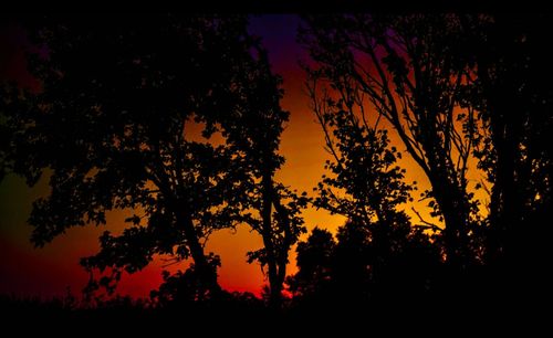 Silhouette of trees against sky at sunset