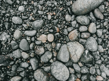 High angle view of stones