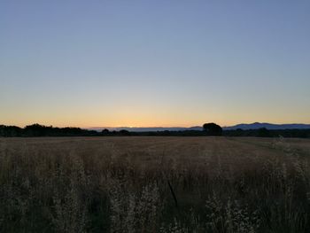 Scenic view of field against clear sky during sunset